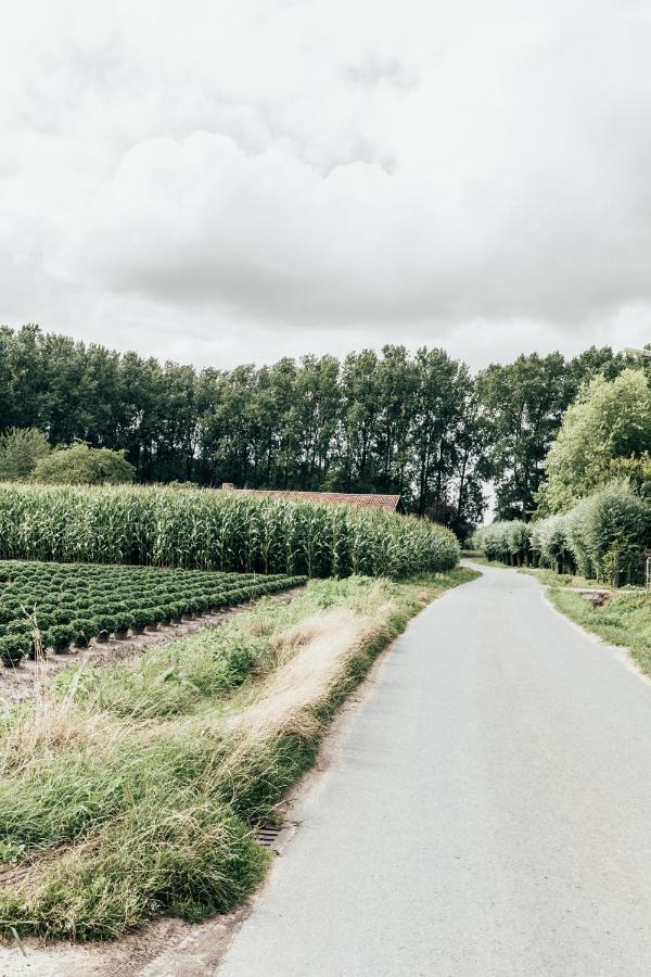 Maison Francois Varsenare Eksteriør billede